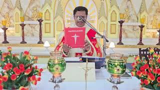 Holy Mass November 25 Monday  5.30 AM I Malayalam I Syro Malabar I Fr Bineesh Augustine