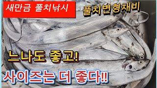 새만금 풀치낚시/ 새만금에 시장급 갈치도 나온다!/ 9월15일