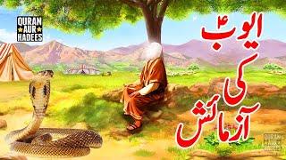 Hazrat Ayub (A.S) Ka Waqia - Ayub as ka Sabar - The Patience of Job - Qasas Ul Anbya