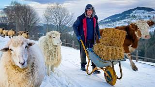 Family Farm Life in Bukovets: Newborn Lambs and Traditional Ukrainian Cooking