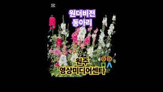 이꽃꼭바라 #히팅코리아 #원주영상미디어센타 #동화나라