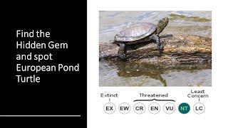 Hidden Gem : Turtle Pond, Schildkrötenteich, Waiblingen - Travel Stories by Yours Lovingly Pavi