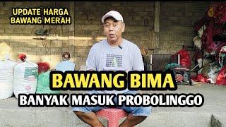 BAWANG BIMA BANYAK MASUK PROBOLINGGO | UPDATE HARGA BAWANG MERAH BJM CHANNEL