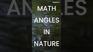 Math Angles in Nature