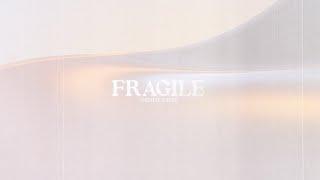 Fragile (Official Lyric Video)