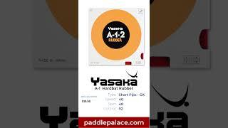 Paddle Palace DAILY Special - 03/11/23
