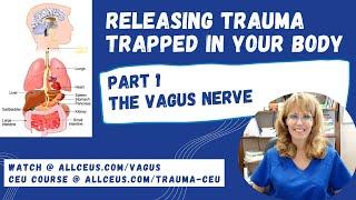 How Trauma Gets Trapped in Your Body: Part 1 the Vagus Nerve