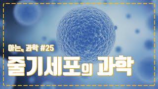 줄기세포(Stem Cell)로 어떻게 난치질환을 치료할 수 있울까? 미래의학기술로 꼽히는 줄기세포에 대해 아는 척 해보자!