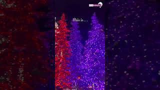 Leavenworth #travel #youtube #christmasineurope #wintertour #christmas #dewanholidays