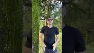 Эффективный приём для уверенности в любой ситуации