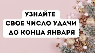 Узнайте число удачи до конца января. Для вашего знака зодиака.