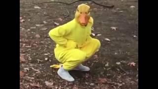 The most savage duck on the block  By Arberi