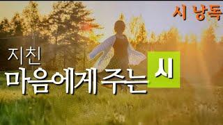 [시 모음] 5편 정호승| 류시화 |문태준 |도종환|릴케#책읽는라디오s