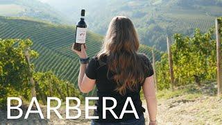 All About BARBERA