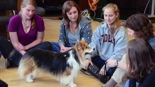 Master of Science in Animals and Public Policy