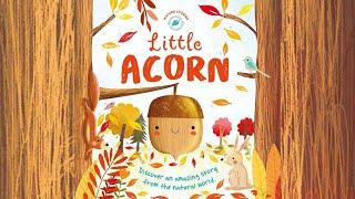 Little Acorn | Nature Stories | Kids Book Read Aloud