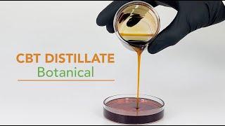 CBT Distillate - Botanical, a Non-Synthetic Natural Botanically Refined Cannabicitran Raw Ingredient