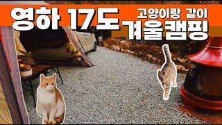 [캠핑LOG] 여긴 내집이야!/ 영하 17도 고양이들과 캠핑?! [4K]