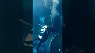 Deep Dive Repairs