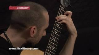 Erik Mongrain - A Ripple Effect - Live Guitar Performance Licklibrary