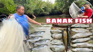 CATCHING BANAK FISH | PAGLALAMBAT NG ISDA SA ILOG