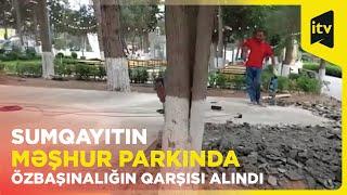 Yaşıllıqların arasında qanunsuz obyekt tikintisinin qarşısı alındı