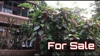 Luxury Banglow in Tungarli  Lonavala | My Fortune Property