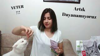 Kedi Bakımı ve Maya | Kutu Açılışı