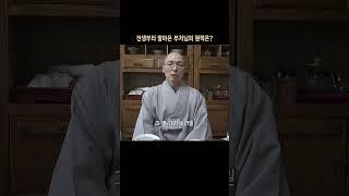 부처님의 깨달음에 숨겨진 비밀, 동명 스님의 '붓다의 신화' #불교 #불교공부 #동명스님 #shorts