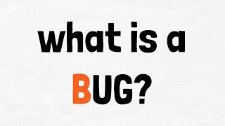 What is a Software Bug?