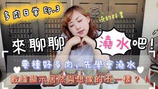 【新手必看】EP.3 淺談澆水｜要養好多肉，先學會澆水｜A&Y多肉日常｜How to watering succulents