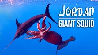 Searching for Giant Squid | Jordan - Original Film