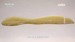 《走近科学》神秘黑金 20160922 | CCTV走近科学官方频道