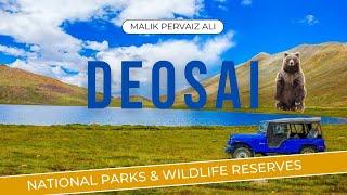 Deosai National Park Skardu | Deosai Plains