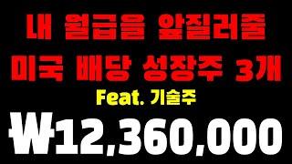 내 월급을 앞질러줄 미국 배당 성장주 3개 (feat.기술주)