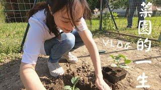 義大利 Vlog｜菜園的一生 The life of garden Jo是愛旅行 Join My Travel Life