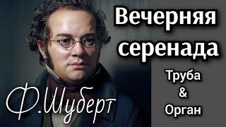 Ф.Шуберт — Вечерняя серенада. Ильяс Невретдинов (труба); Ольга Кемова (орган) #труба #орган #музыка