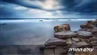 חומרת פגם הברית - היסוד !