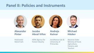 Panel II - Policies and Instruments | WPIC 2024