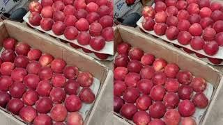 3 October 2024 Shimla Apple Rate at dhalli mandi | Today's Apple Market update | Himalayanfarming