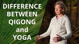 Similarities and Differences Between Qigong and Yoga