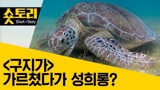 [숏토리] '구지가' 가르쳤다가 성희롱?