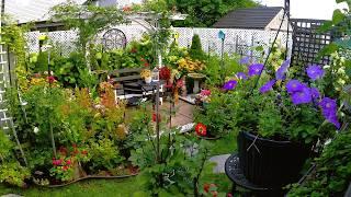 SEPTEMBER RELAXING TINY GARDEN TOUR | Plants Flowers and Birds #garden #flowers #new #relaxing