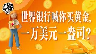 岩的读书会：世界银行喊你买黄金，一万美元一盎司？｜【岩论】