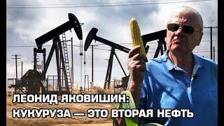 Леонид Яковишин: Кукуруза — это вторая нефть | Latifundist