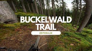 Buckelwald Trail Bikepark Reiteralm Schladming Austria full run POV RAW