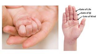 INSPECTION OF INFANT'S FINGER VENULES IN CHINESE MEDICINE