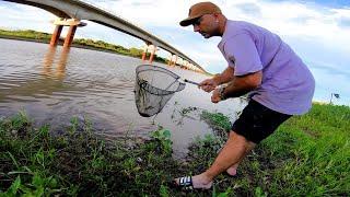 Exploración y recolección de peces en la naturaleza. Acuario urbano, pesca urbana.