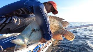 TORTURED BY A BIG FISH|Bryan Fishing Tvcatch & sell