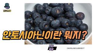 생소한 안토시아닌이란 뭐지?? #건강 #건강정보 #건강관리 #health #healthy #건강챙기기